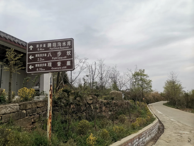 彭州法藏寺||斋饭、喝茶、书法、轻徒步，周末一日游超巴适