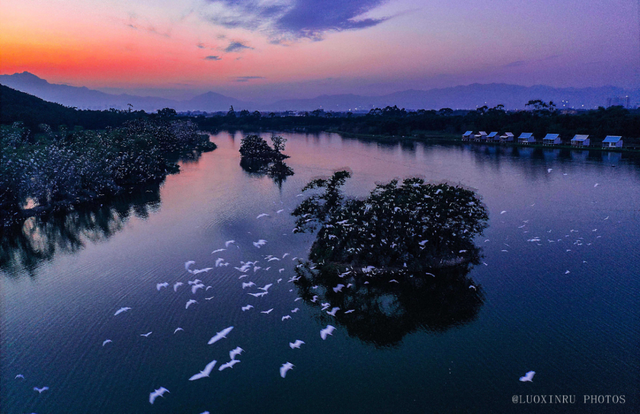 藏不住了！肇庆这个宝藏小镇，要火了!