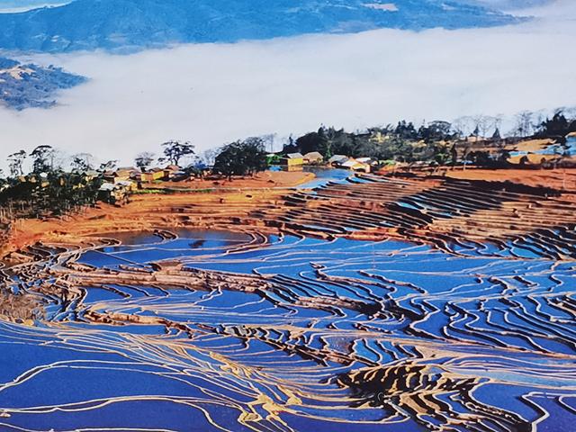 元阳梯田哈尼徽：稻作文化彝族曲 不朽诗篇底蕴谱