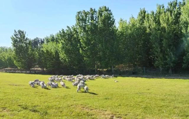 国家级榜单！潍坊这条路线上榜！