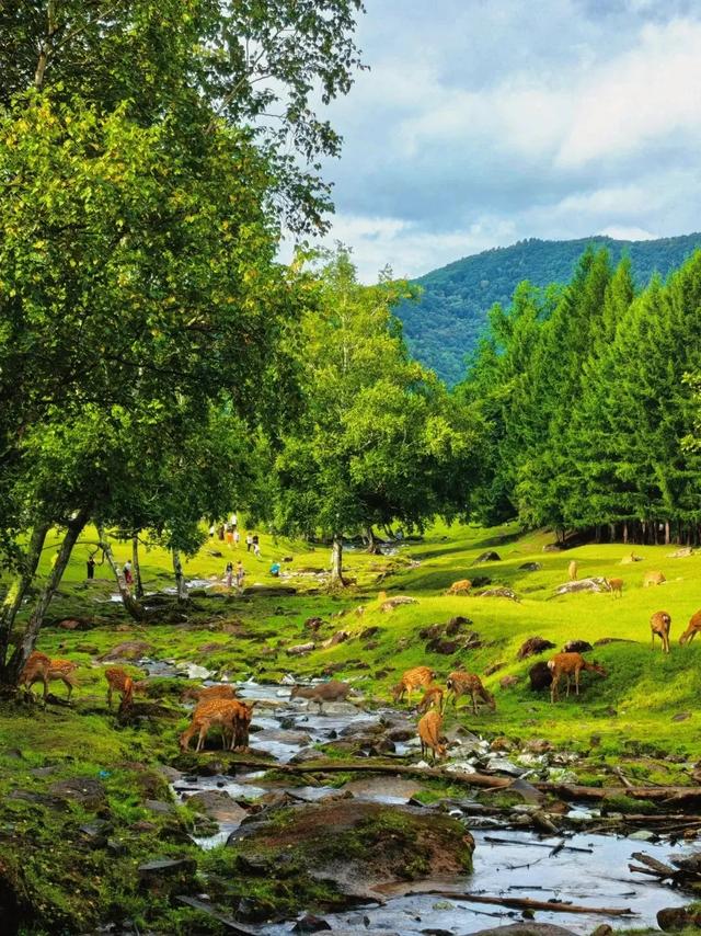 高铁直达！8月一定要去的国内4个“零差评”避暑天堂，均温20℃+