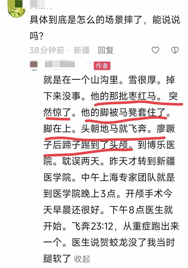 贺娇龙好友曝事发细节	，养马人：掉马最怕脚被套牢，网友提醒成真