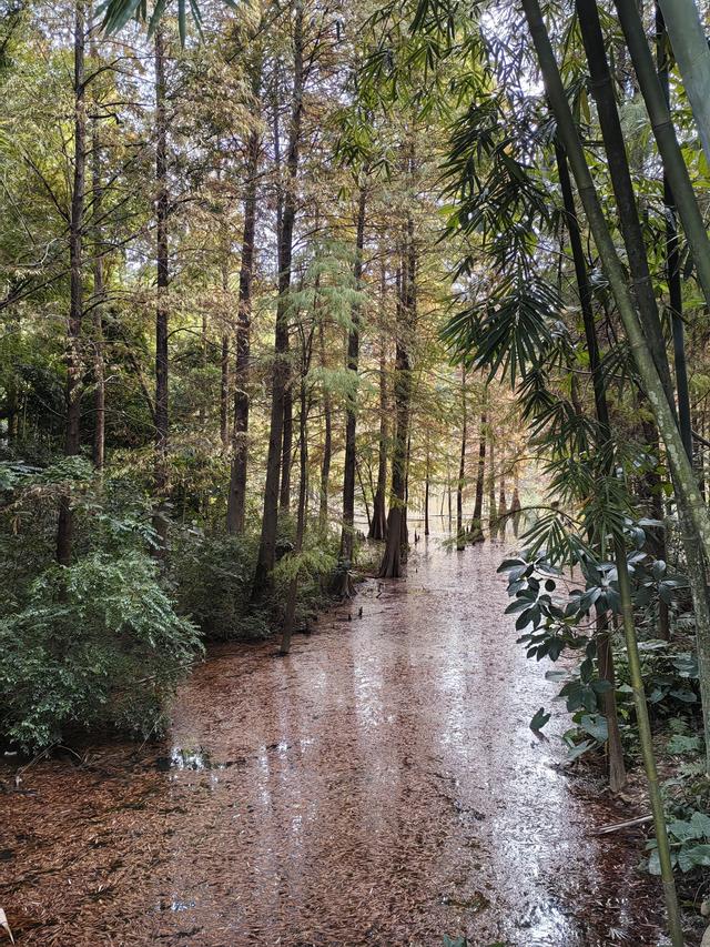 天啊，白云难爬吗？