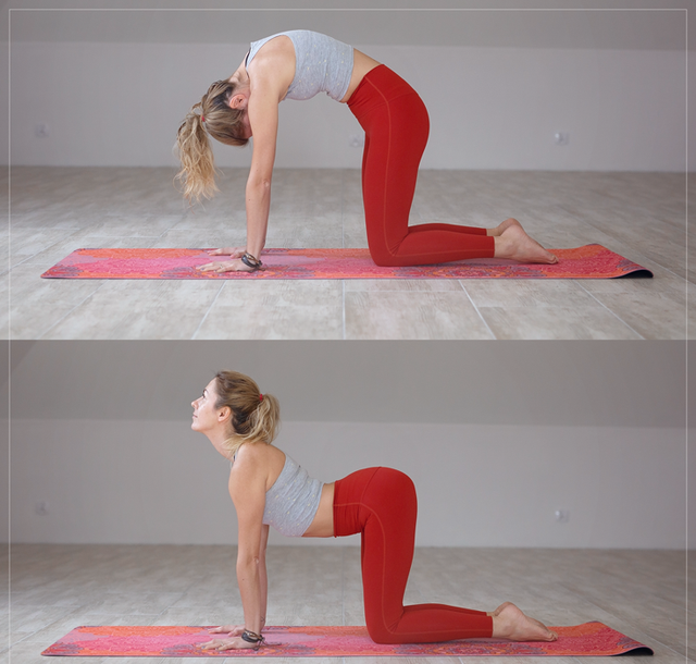 练瑜伽，一定要有这个概念，将令你受益一生！