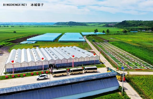 在呼玛,牵手331国道共赴界江盛宴
