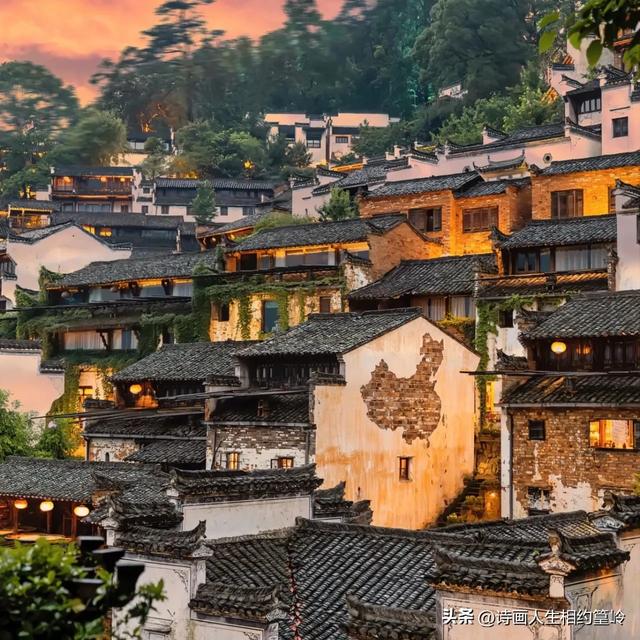 为何感觉外出旅游的总是女性居多？