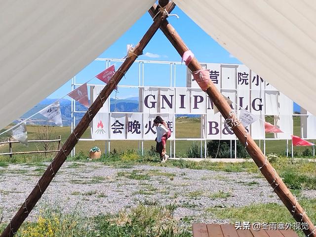 新疆江布拉克：森林草原麦田集结地