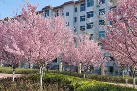 春有约花不负！漯河“早春赏花地图”来啦！图片