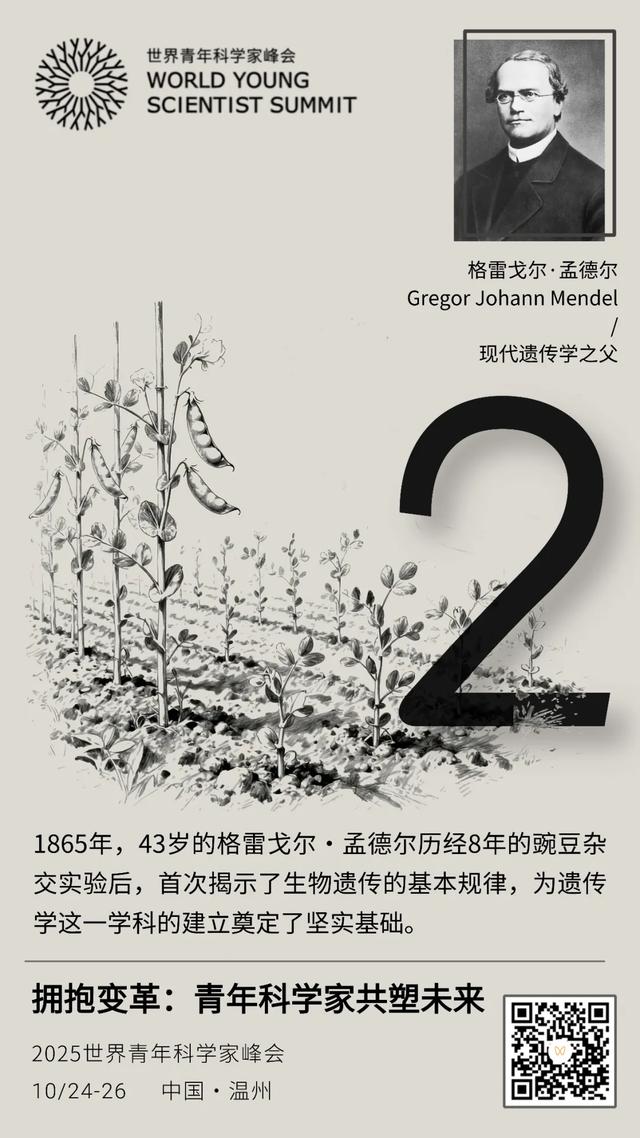 聚焦青科会丨倒计时2天！首届“中国脑机智能科学新星”评选结果出炉，相关成果将在2025青科会主会期间展映
