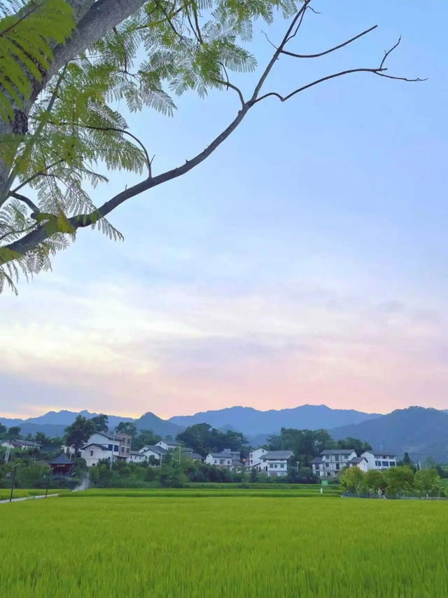 地名里的重庆 | 长寿云台镇，既有历史印记，更有山水村落之美