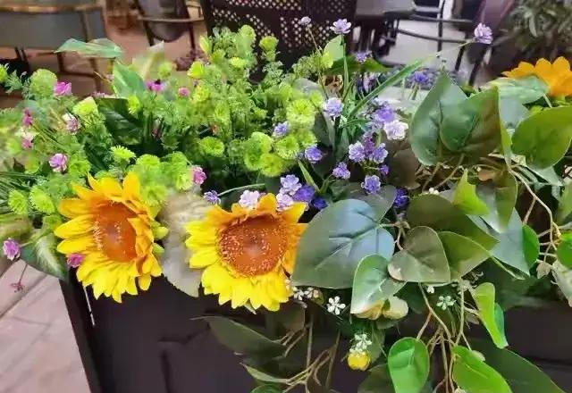 不管你信不信，男性过62岁基本都有5个现状，尤其最后一个更重要