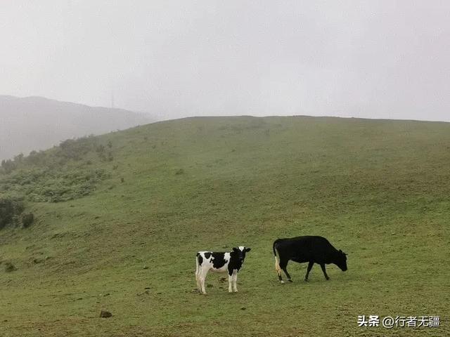 多彩贵州自驾游之盘州篇:天青烟雨走乌蒙