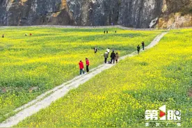有一种春天叫油菜花开！重庆赏花打卡攻略来了→图片