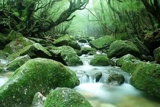 日本九州岛的雾岛地区与屋久岛