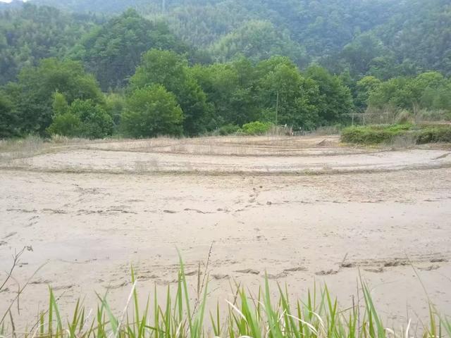 浏河滚滚欲留春，独向芳踪觅雅意——徒步小溪河散记（九）