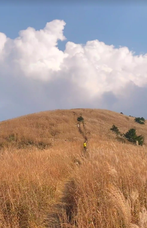 从“飞钓季”到“山水剧场”，观赛度假两不误