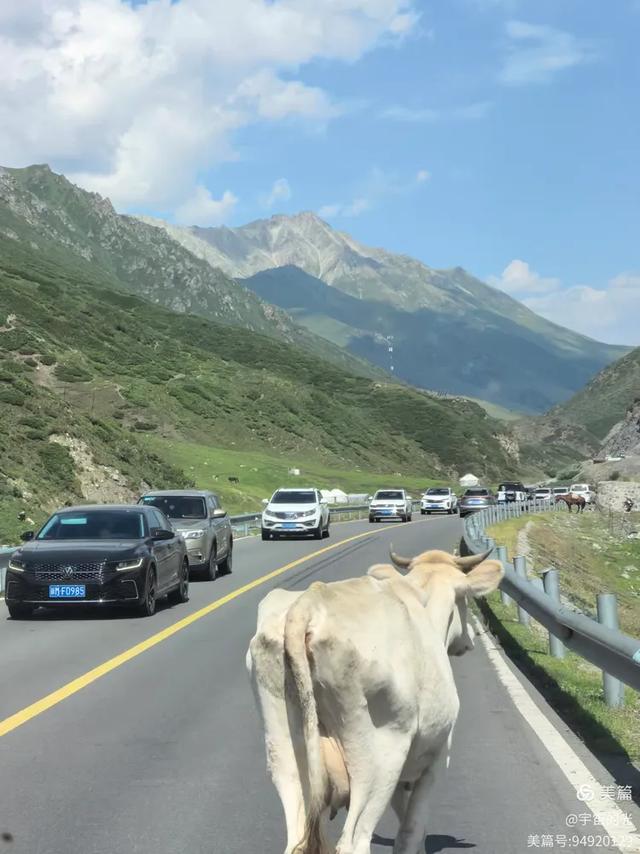 跨越天山的壮美风光