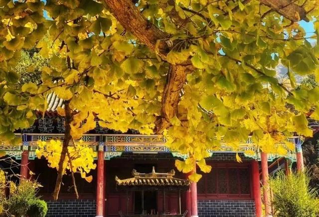 雨停天晴!佛坪的山川与美景,都在等你赴约→