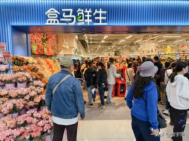 中秋国庆前零售战，盒马杀入京东宿迁对垒，硬折扣成巨头新赛道