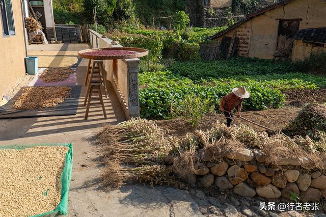 走遍浙江古村落，为了看一棵枯树，我骑行一千公里来了两趟松阳