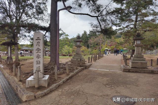 日本奈良：漫步若草山