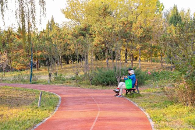 藏不住的惊艳！这座公园正处颜值巅峰