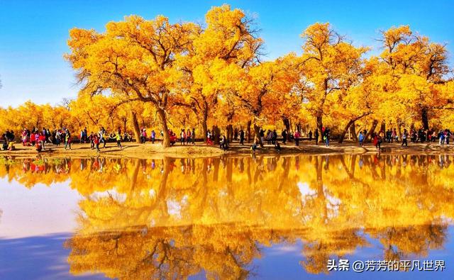 北国三色：秋日里的交响乐