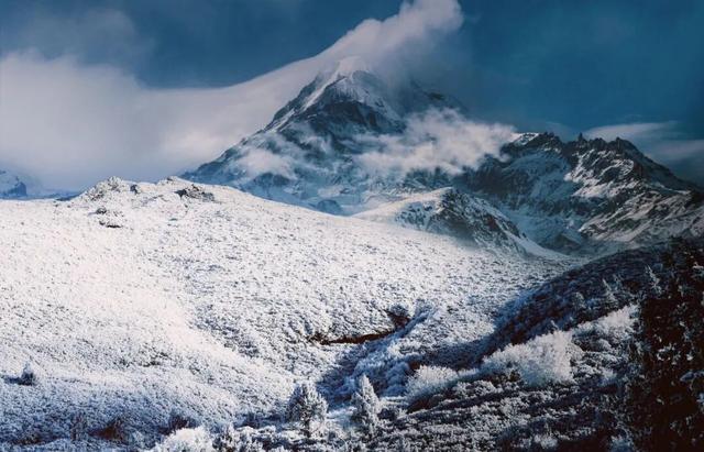 别等春天！陇南的冬日密语里，藏着限定版春日烂漫