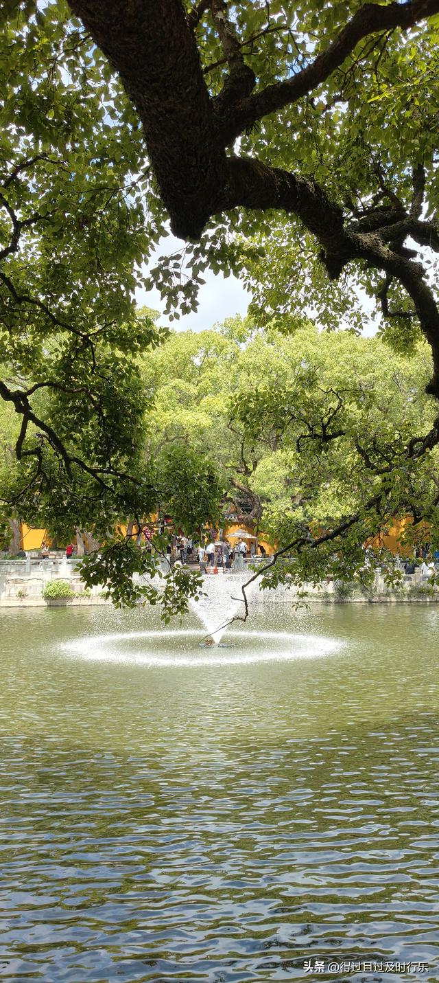 舟山游记-02普陀山听梵音闻香火