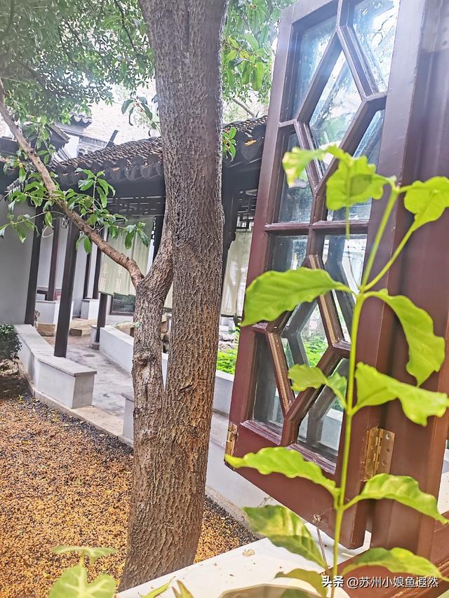 别挤上海！苏州民国洋楼章园，承包你读书、吃面、咖与茶一条龙