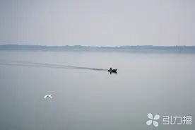 阳澄湖畔网红乡村：从荒滩到鱼滩，再到生态养殖新高地图片