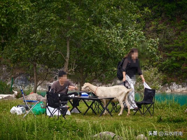 情人谷牛奶湖高山草甸：蜀道中“秦岭秘境”变成了一路的网红景点
