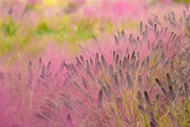 山景正宜人！青岛这里的山，已美到Next level