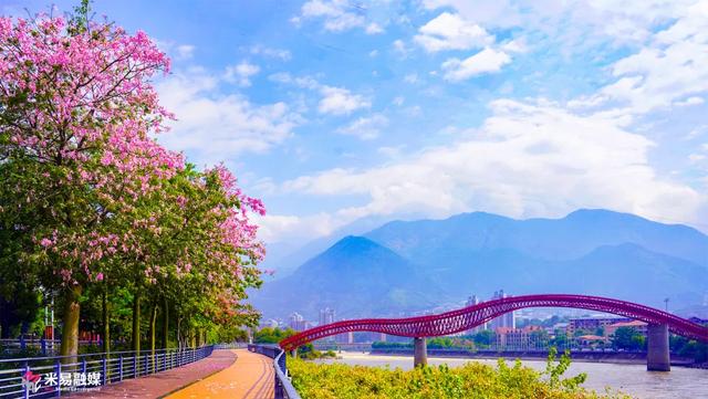 今日立冬丨阳光已就位 米易等您来