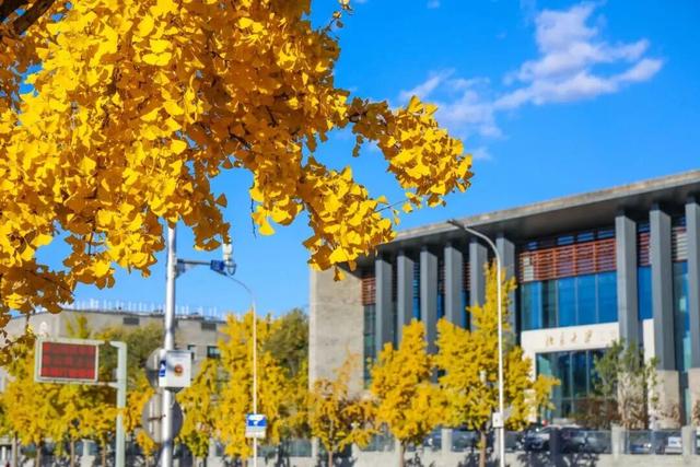 速来！海淀这份含“金”量超高的攻略请收好→