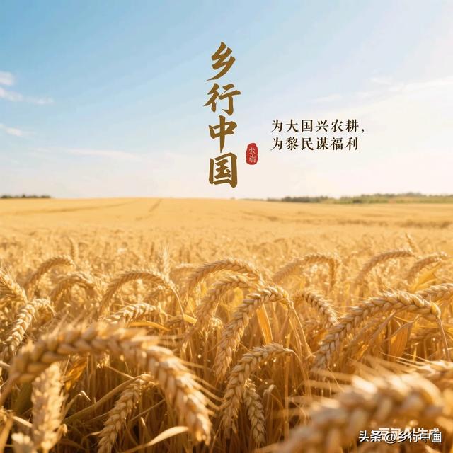 南部县寺外桃源景区：景村-乡镇-片区联动助力南西盐三县文旅发展