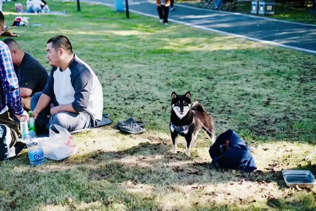 新津人的“小美满”，开启全民晒太阳模式