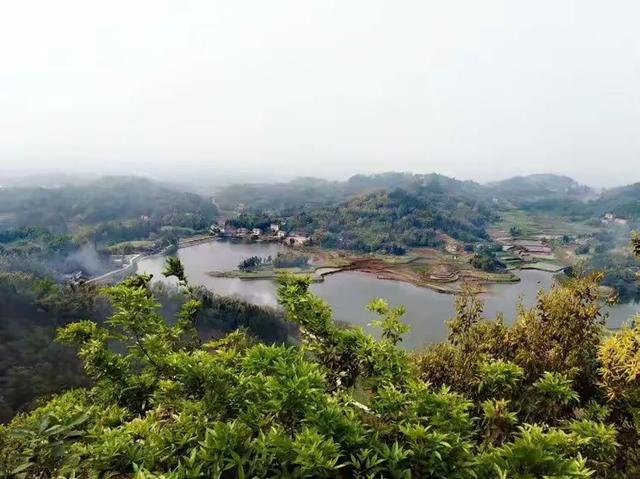 [四川 自贡市]