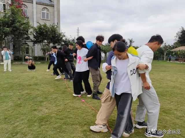 AI破译"鸟群舞蹈"！集体智慧不再神秘，未来城市、机器人将被颠覆