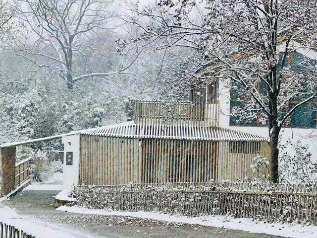 雪҈ 雪҈ 雪҈ 太美啦！快接住这“泼天”的雪白浪漫！