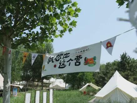 在昌平躺坪 | 20分钟，让公园治愈你