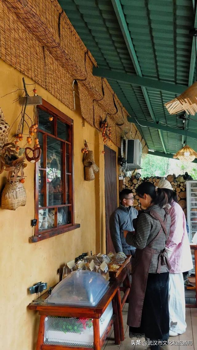 赶紧收藏！森林公园3大玩法新鲜出炉