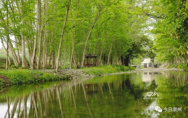 最快30分钟!河滩玩水、捉鱼虾、划竹筏…没有门票!