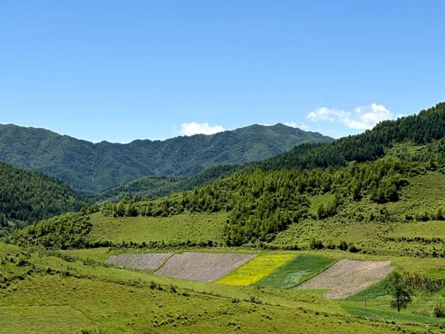 陇南市礼县炕眼门：藏在大山褶皱里的秘境牧歌
