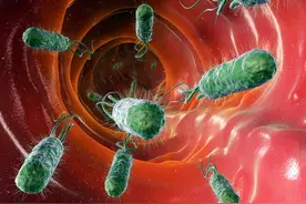 幽门螺杆菌最怕这五种好习惯，长期坚持，肠胃健康，远离胃病！图片