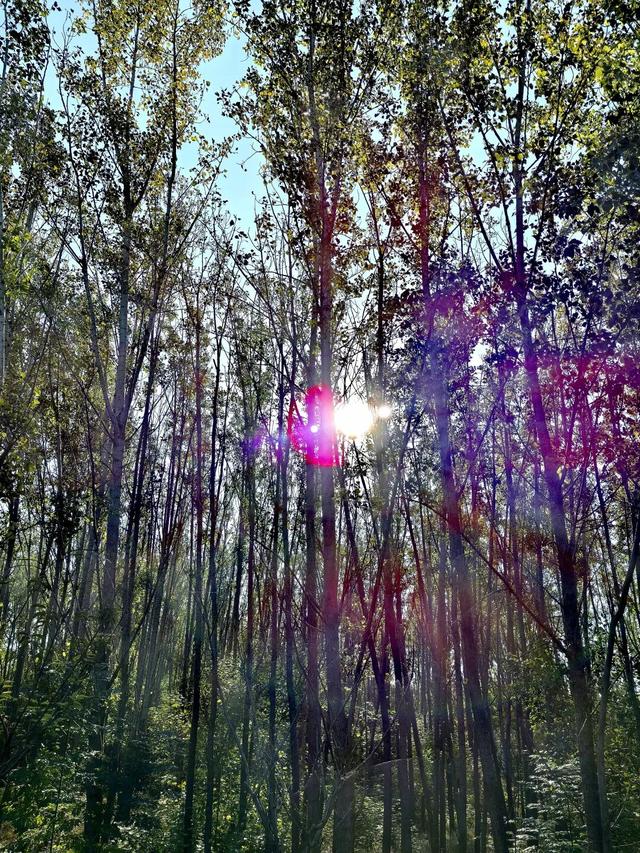 人情往来，有来有往，情意绵长