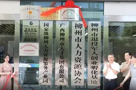 “三聚焦”维护劳动关系和谐稳定 广西柳州多措并举提升调解仲裁质效图片