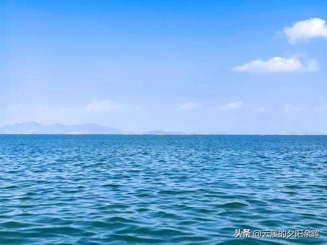 广东阳江海陵岛“渔家乐	”体验	，章鱼独当一面