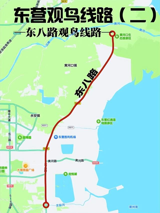 “鸟浪”来了！这份观鸟攻略请收好