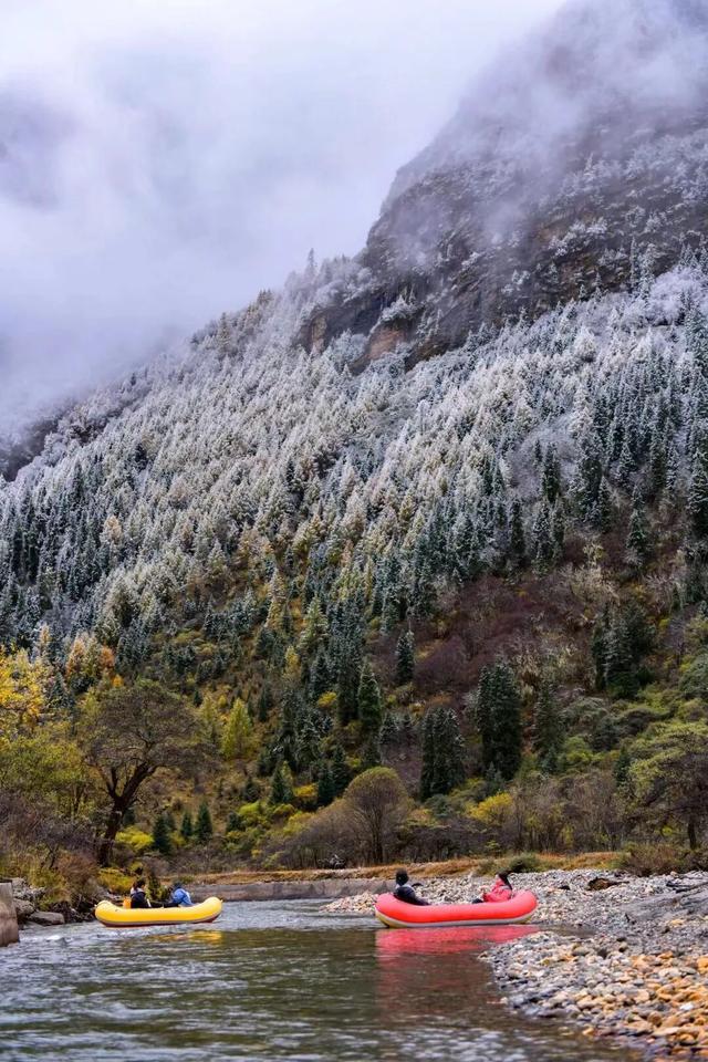 接下来，小金是这样的~